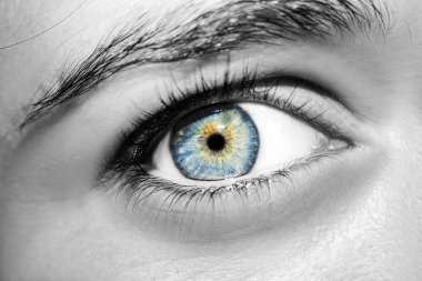 Güzel bir anlayışlı kadın bakışı. Yakın çekim..