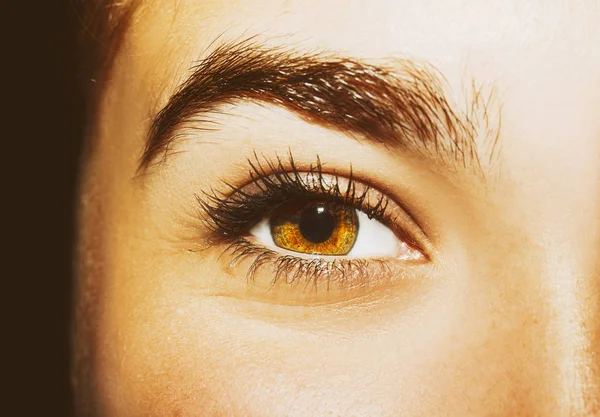 A beautiful insightful look woman's eye. Close up shot. — Stock Photo, Image