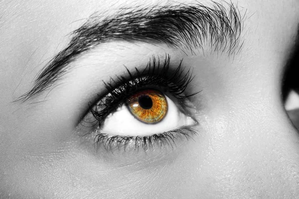 Un hermoso ojo de mujer mirada perspicaz. Primer plano.. —  Fotos de Stock