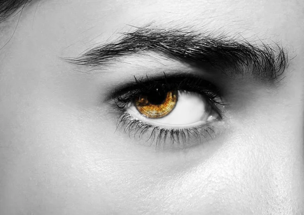 美しい洞察力のある外観の女性の目。撃たれた. — ストック写真