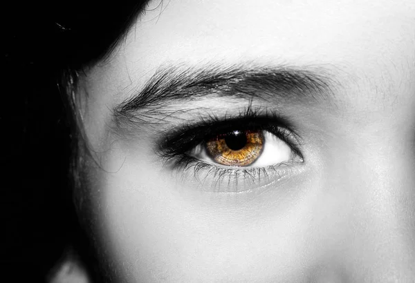 A beautiful insightful look boy's eye. Close up shot. — Stock Photo, Image