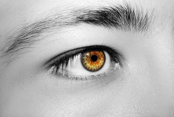 Una hermosa mirada perspicaz ojos de hombre. Primer plano.. — Foto de Stock