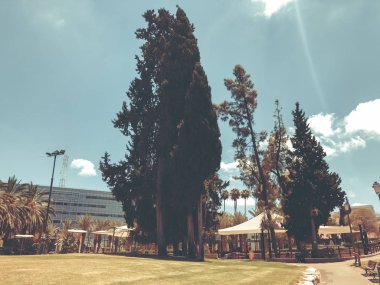  Rishon Le Zion, İsrail - 18 Haziran 2018: Rishon Le Zion, İsrail central Park'ta görünümünü