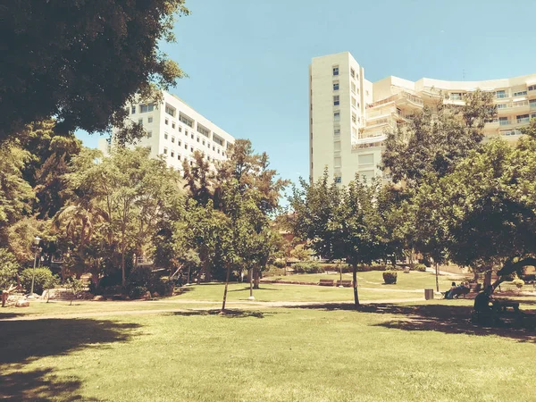 Rishon Zion Israel June 2018 View Central Park Rishon Zion — Stock Photo, Image