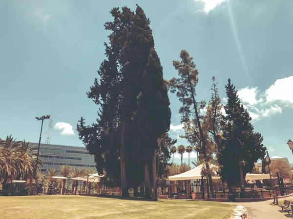 RISHON LE ZION, ISRAEL -  JUNE 18, 2018: View of the central park in Rishon Le Zion, Israel — Stock Photo, Image