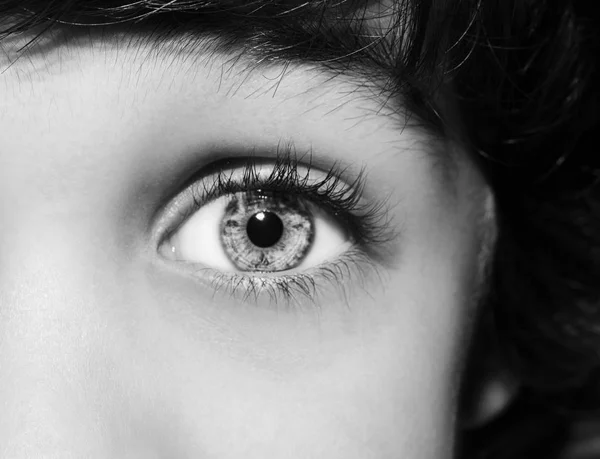 Un hermoso ojo de niño de mirada perspicaz. Primer plano. . —  Fotos de Stock