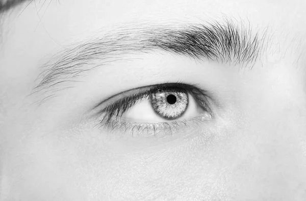 Güzel, anlayışlı bir adam bakışı. Yakın çekim..