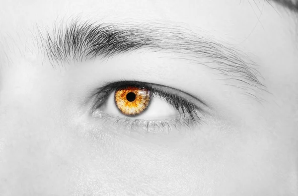 아름답고 통찰력있는 인간의 눈이지. 가까이 촬영. — 스톡 사진