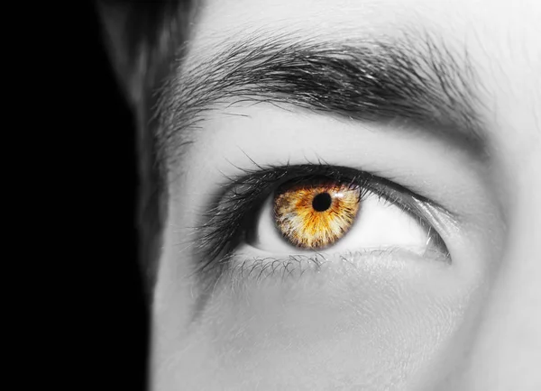 Una hermosa mirada perspicaz ojos de hombre. Primer plano.. — Foto de Stock