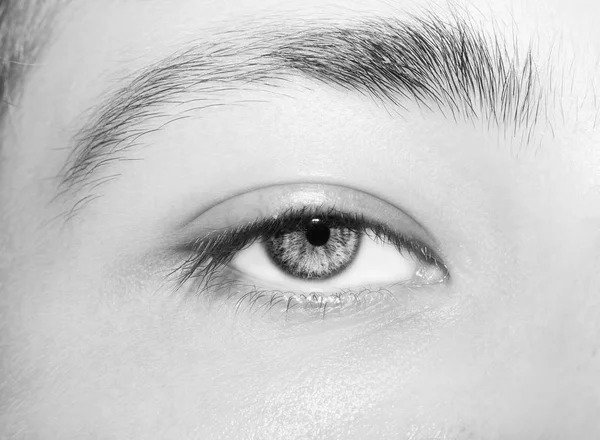 아름답고 통찰력있는 인간의 눈이지. 가까이 촬영. — 스톡 사진