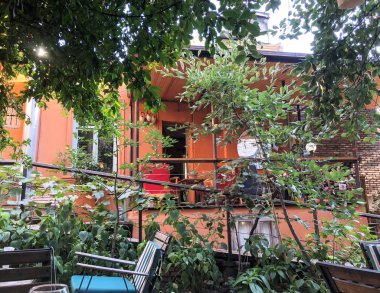 Şehir Cafe nar ağacında yeşil yaprakları. Yakın çekim vurdu