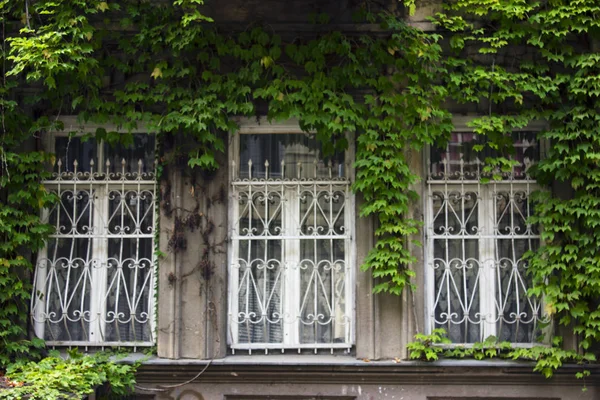 Old Tbilisi architecture, window and exterior decor in summer day