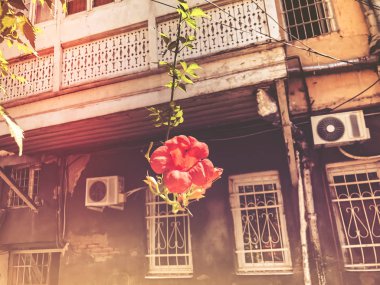 Yaz günlerinde eski Tiflis mimarisi, penceresi ve dış dekoru.