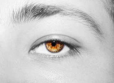 Güzel, anlayışlı bir adam bakışı. Yakın çekim..