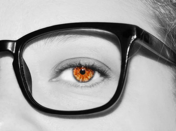 A beautiful insightful look woman's eye. Close up shot. — Stock Photo, Image