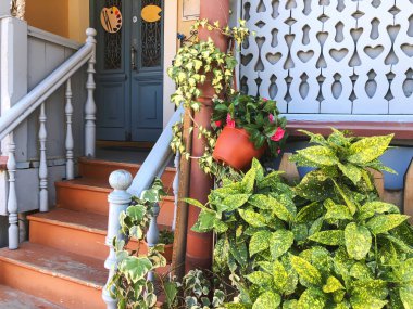 Yeşil yaprakları ve eski Tiflis eski bir bina windows karşı çiçekler