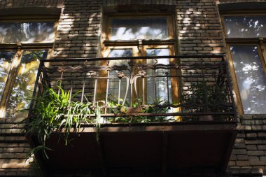 Yaz günlerinde eski Tiflis mimarisi, penceresi ve dış dekoru