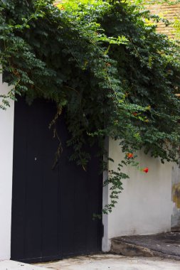 Eski Tiflis mimarisi, yaz günü giriş kapısı ve dış dekor.