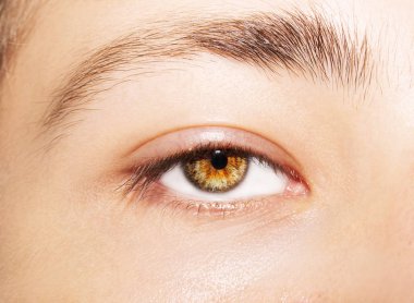 Güzel, anlayışlı bir adam bakışı. Yakın çekim..