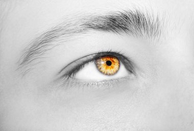 Güzel, anlayışlı bir adam bakışı. Yakın çekim..