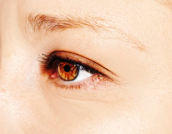 아름 다운 통찰력 모습 여자의 눈입니다. 안경을 착용 하는 여자. 클로즈업 샷 — 스톡 사진
