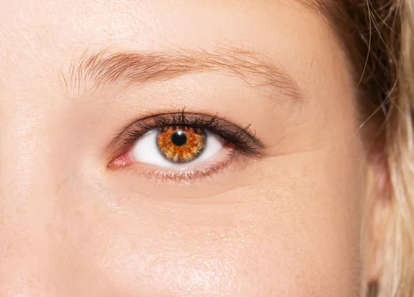 Um olhar bonito e perspicaz olho de mulher. Mulher a usar óculos. Imagem de close-up — Fotografia de Stock