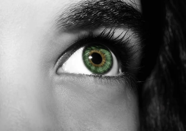 아름답고 통찰력있는 아가씨의 눈이지. 가까이 촬영. — 스톡 사진