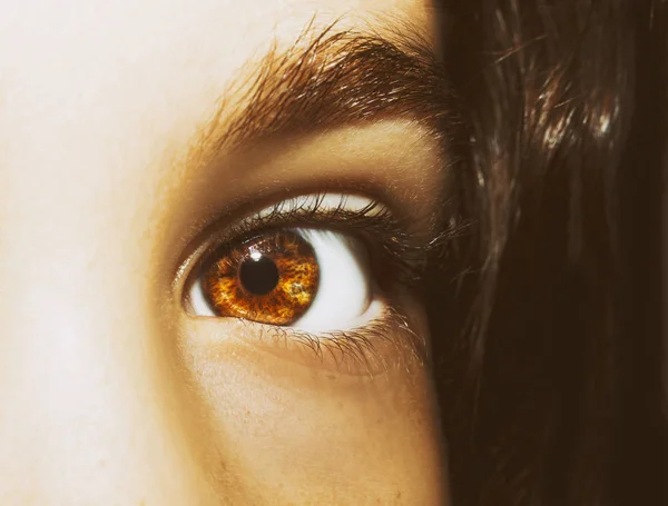 Een prachtig inzichtelijk blik meisje 's oog. close-up schot. — Stockfoto