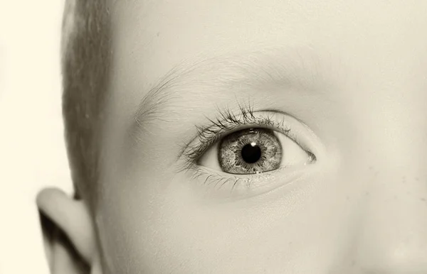 Een mooie inzichtelijke blik oog. — Stockfoto