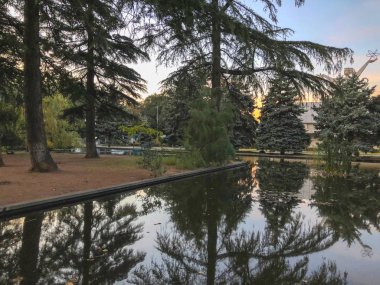 Parkta sonbahar, gölün kenarında ağaçlar, göldeki ağaçların yansıması. Düşen yapraklar. Sonbaharın renkleri