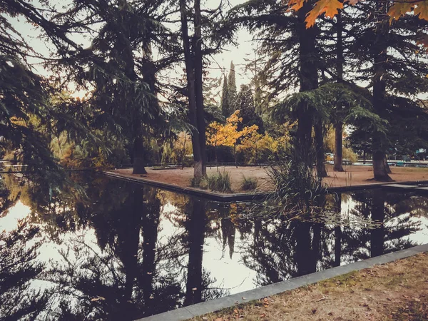 Podzim v parku, stromy, rákosí u rybníka, odraz stromů v rybníku. Padající listí. Barvy podzimu — Stock fotografie
