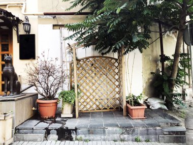 Yeşil küçük ağaçlar ve yaz aylarında dekatlon bitkiler. Yakın çekim vurdu