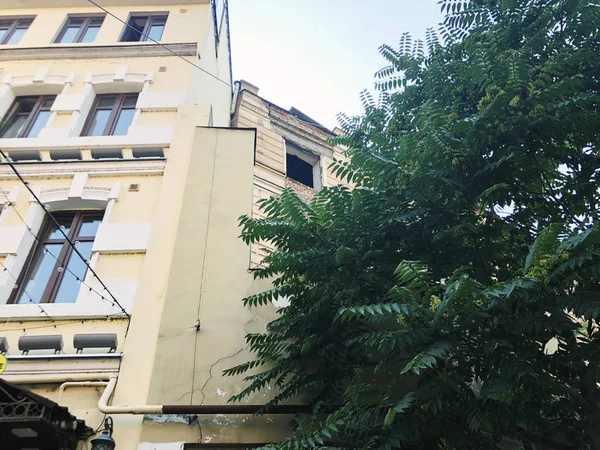 Gamla Tbilisi arkitektur, fönster och balkong exteriör inredning på sommardagen — Stockfoto