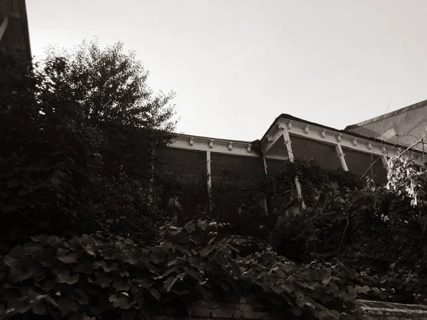 Arquitetura antiga Tbilisi, janelas e varanda decoração exterior no dia de outono — Fotografia de Stock