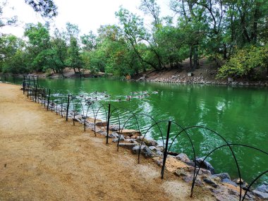 Creek su doğal bir park. Güzel bir parkta yeşil donmuş su