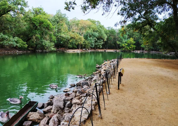 Creek su doğal bir park. Güzel bir parkta yeşil donmuş su