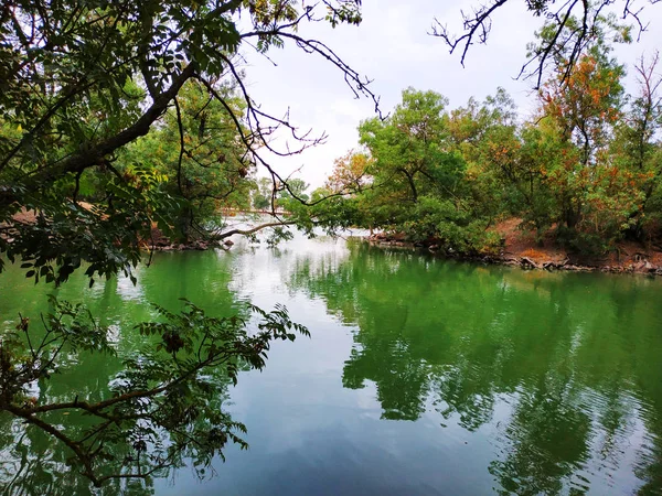 Creek voda v přírodním parku. Zelená zmrzlé vody v krásném parku — Stock fotografie