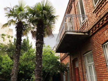 Yazlık açık. İki palmiye ağaçları house yakınındaki