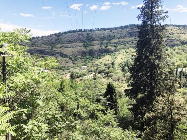 Yemyeşil ağaçlar ve dekatlon bitki botanik bahçesi şehrin içinde