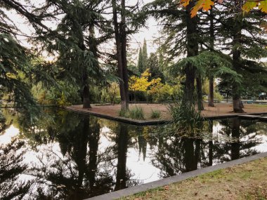 Parkta sonbahar, gölün kenarında ağaçlar, göldeki ağaçların yansıması. Düşen yapraklar. Sonbaharın renkleri
