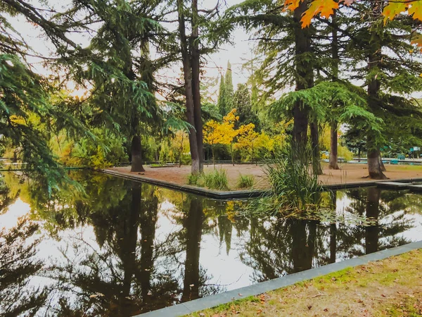 Parkta sonbahar, gölün kenarında ağaçlar, göldeki ağaçların yansıması. Düşen yapraklar. Sonbaharın renkleri