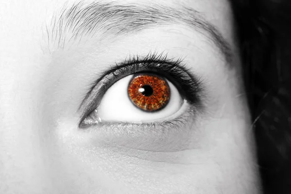 A beautiful insightful look woman's eye. Close up shot. — Stock Photo, Image