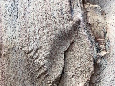 Doğal taş duvarı kapatın. Taş duvar dokusu 