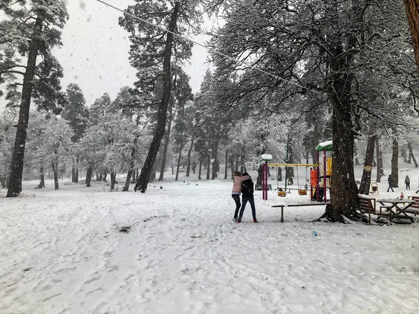 Kar yağışı. Çocuklar karda yürümek. Kar ağaçlarda. Dağ kayak merkezi Bakuriani — Stok fotoğraf