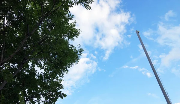 Al aire libre en residencia de verano. El cielo está nublado con nubes y árboles —  Fotos de Stock
