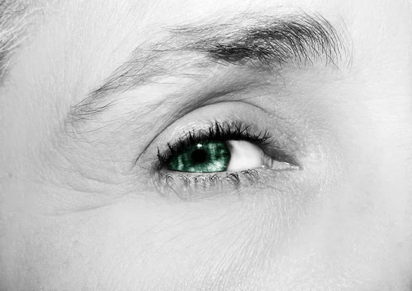 한 여성의 아름다운 통찰력있는 눈입니다. 가까이 촬영. — 스톡 사진