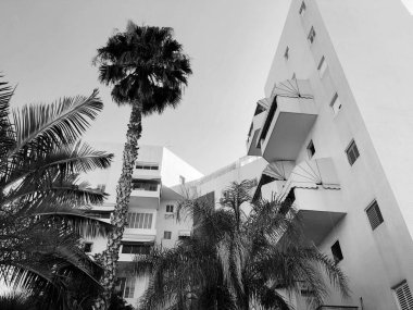 Konut ve Rishon Le Zion yeşil bitkiler ile çevrili