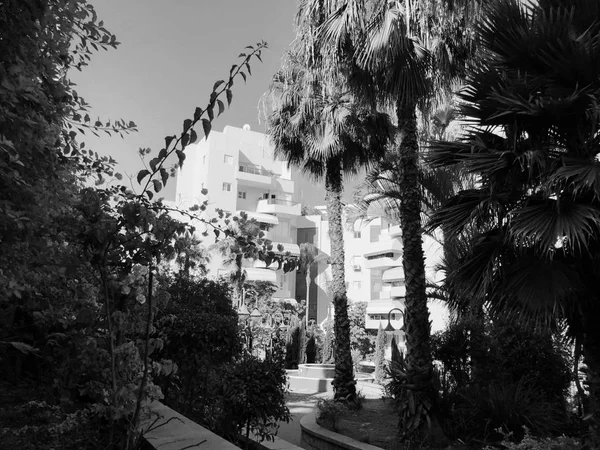 Edificios residenciales y fuente rodeada de plantas verdes en Rishon Le Zion —  Fotos de Stock