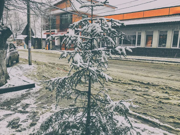 Um pouco de abeto na neve numa rua da cidade. Meio-dia de inverno. Rua Snowy. Estância de esqui de montanha Bakuriani — Fotografia de Stock