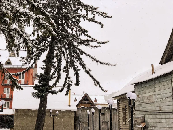 Meio-dia de inverno nevado. Neve coberto de árvores, os telhados de pequenas casas no quintal. Estância de esqui de montanha Bakuriani — Fotografia de Stock